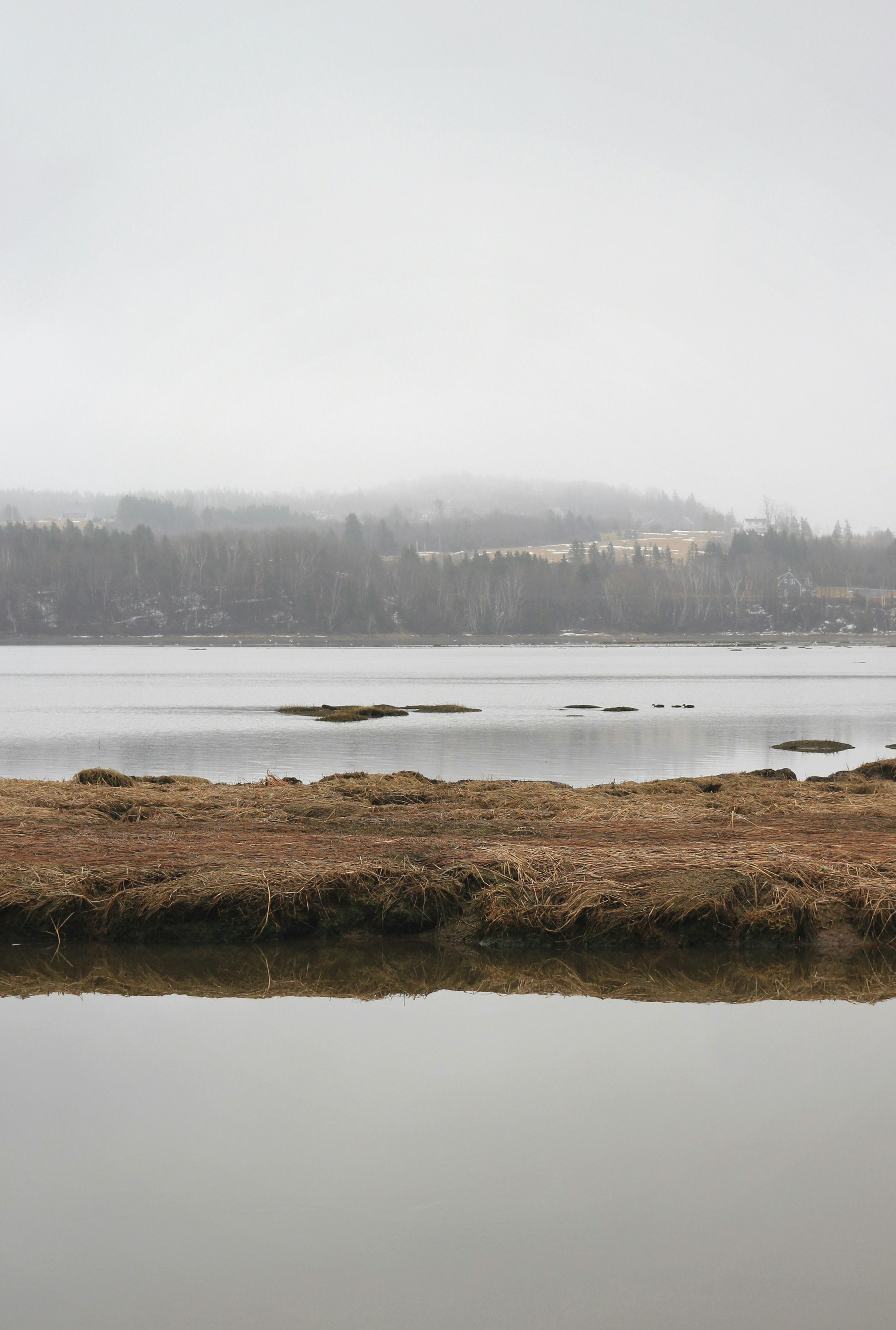 calm body of river